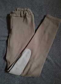 Bryczesy - spodnie