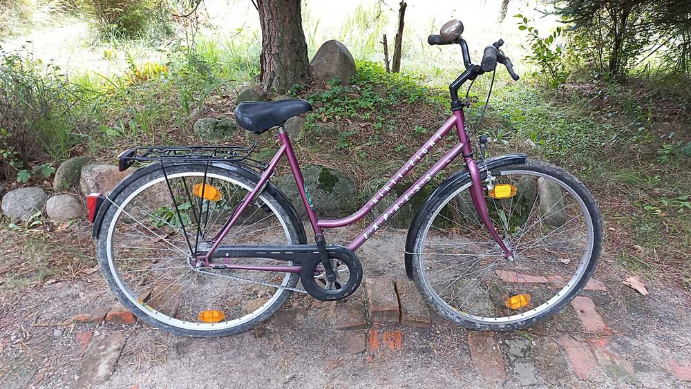 Rower Miejski Damski Express Hirty Eight 3 biegi Torpedo Damka 28