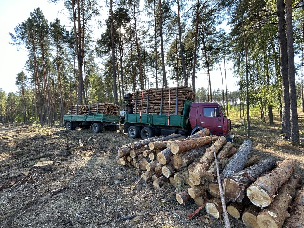 Надаємо послуги маніпуляторів, лісовозів