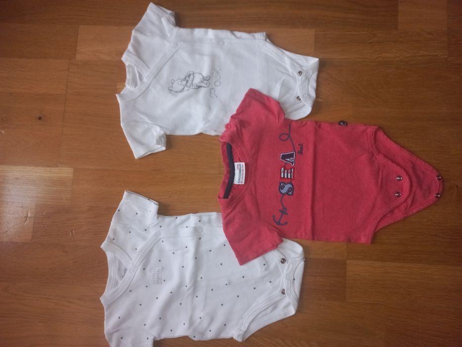 Body 62 cocodrillo