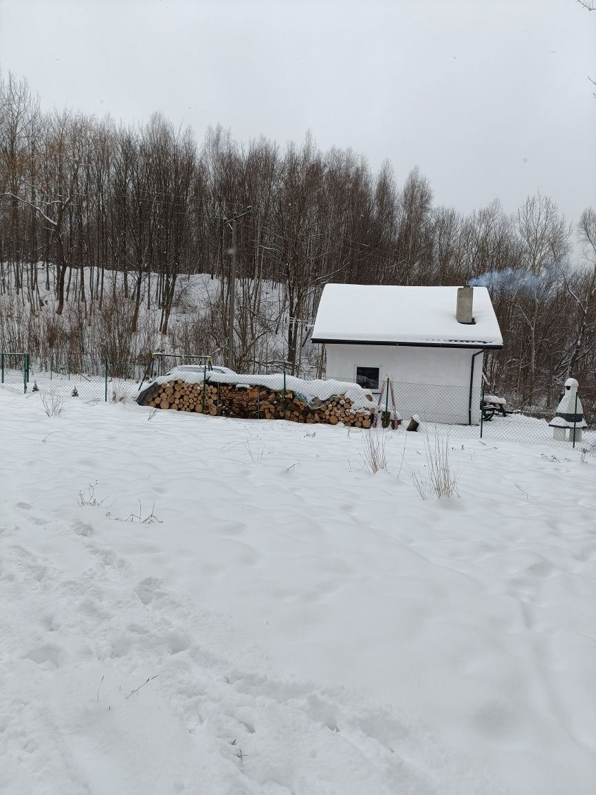 Wynajem domków  letniskowych domek całoroczny