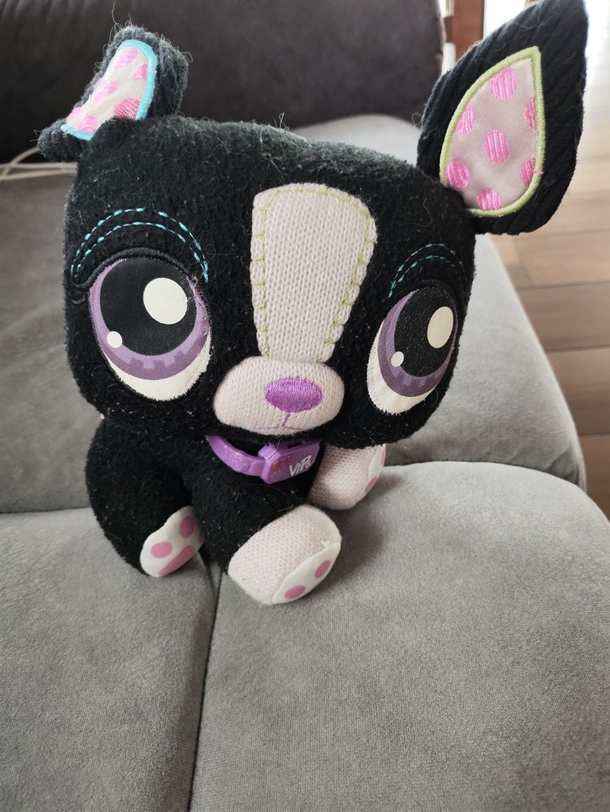 Littlest pet shop LPS maskotka Boston terrier