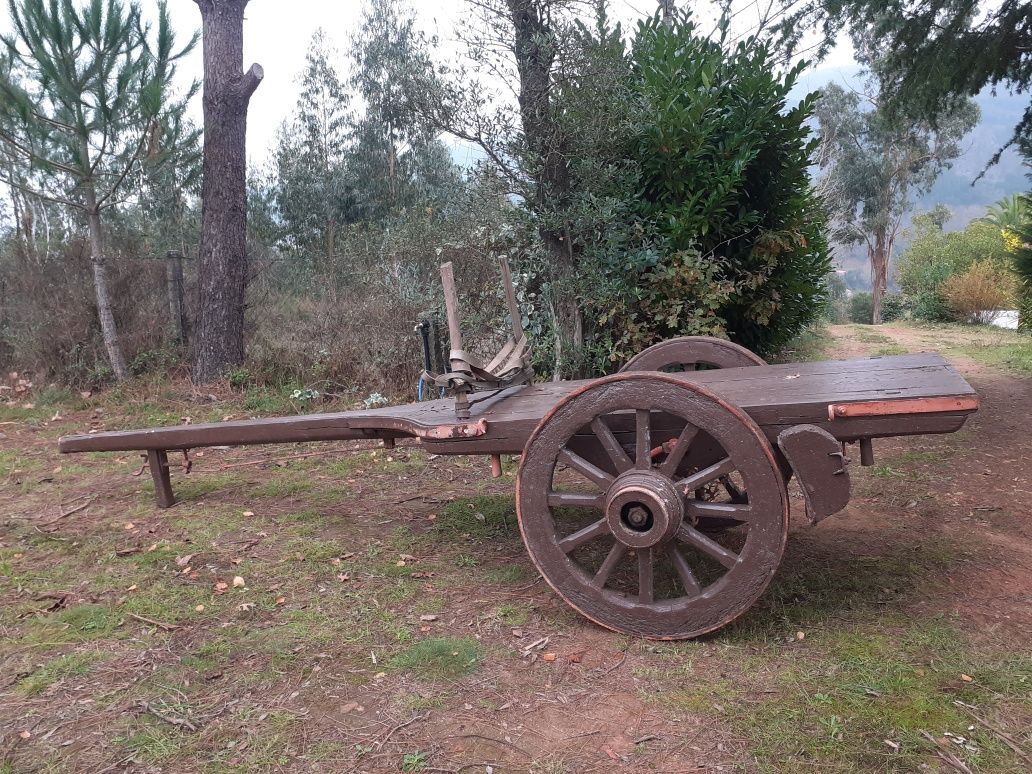 Carro de bois antigo