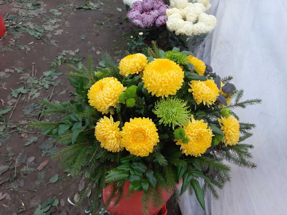Wiązanki z żywych kwiatów chryzantem TANIO