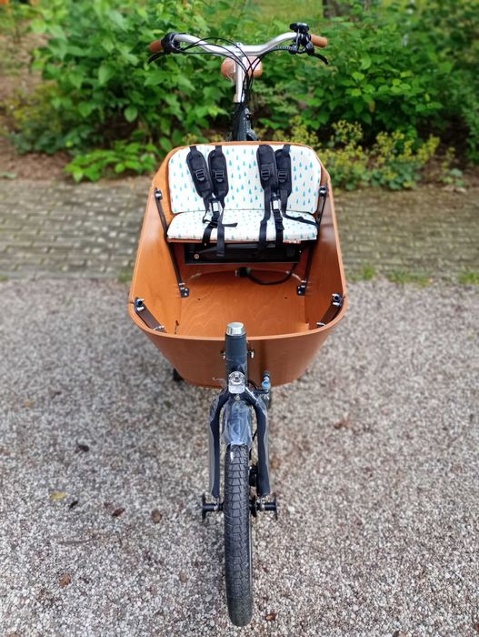 Elektryczny rower cargo Babboe City Mountain