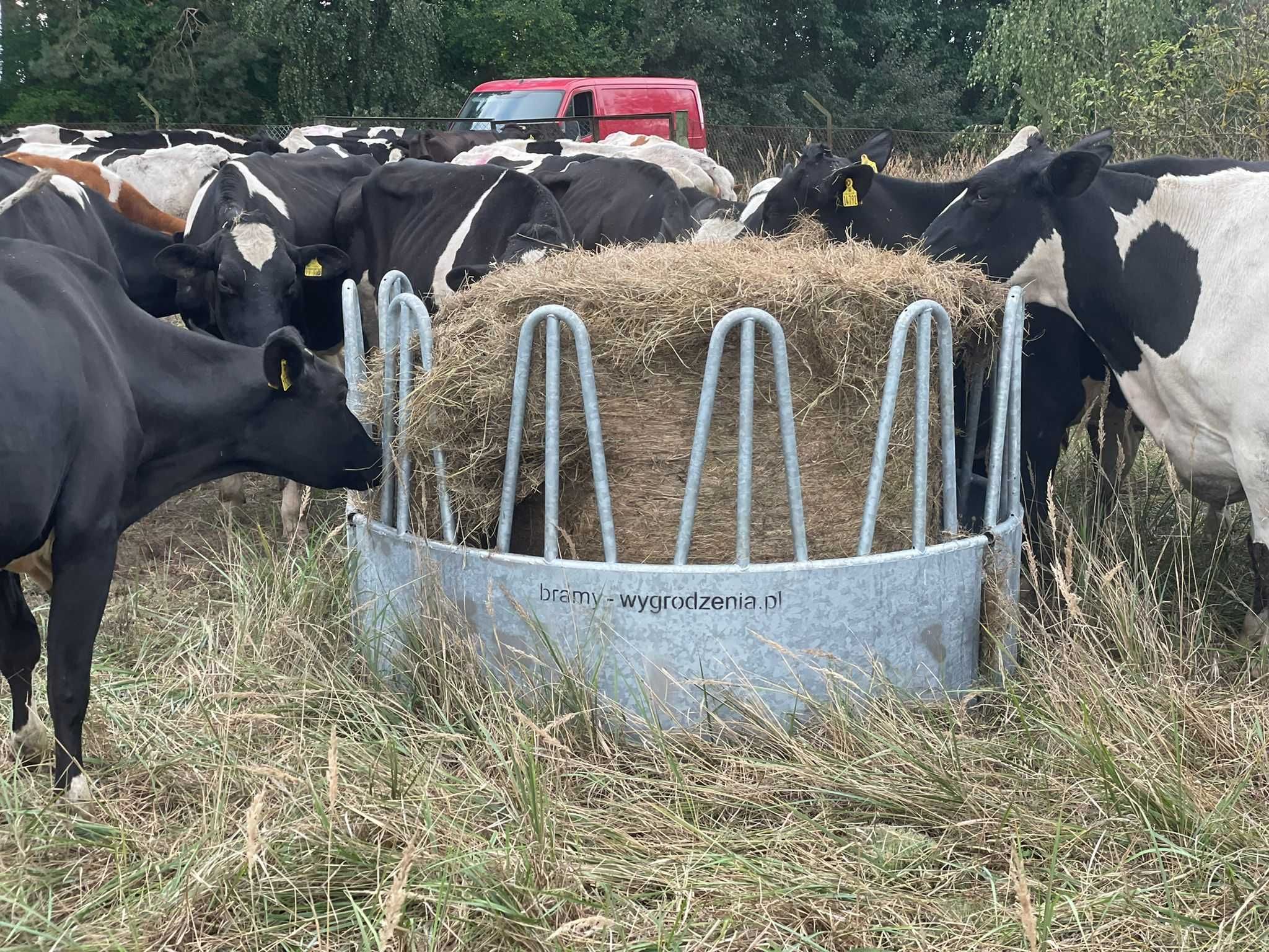 Paśnik na bele karmnik koryto na siano dla bydła koni