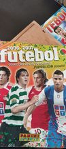 Panini 2006/2007     Euro 2008