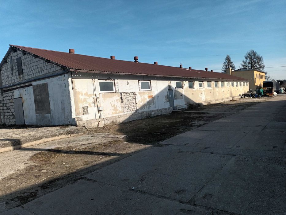 Hala 620m2 Knopin gm Dobre Miasto