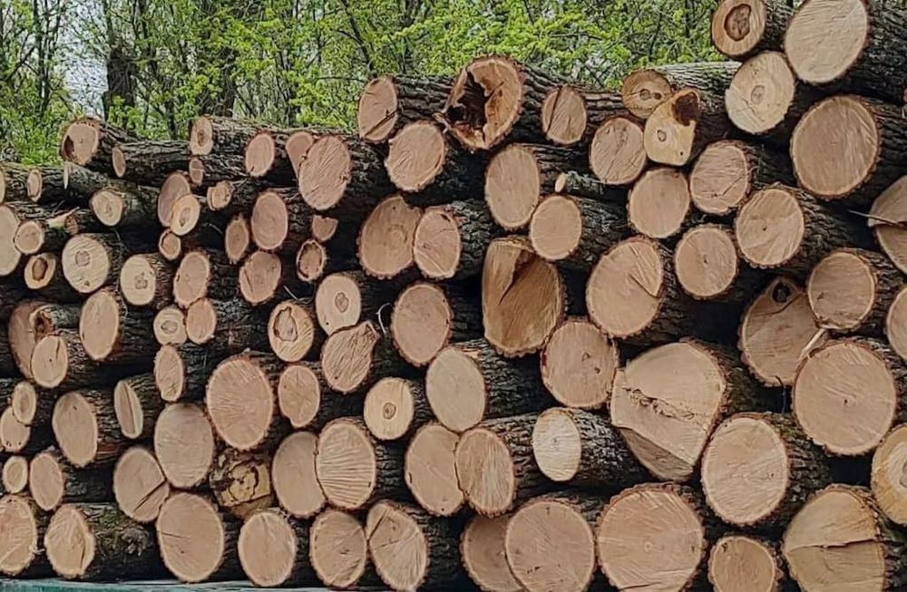 Дрова ТВЕРДИХ порід ( дуб,граб,ясен,акація)