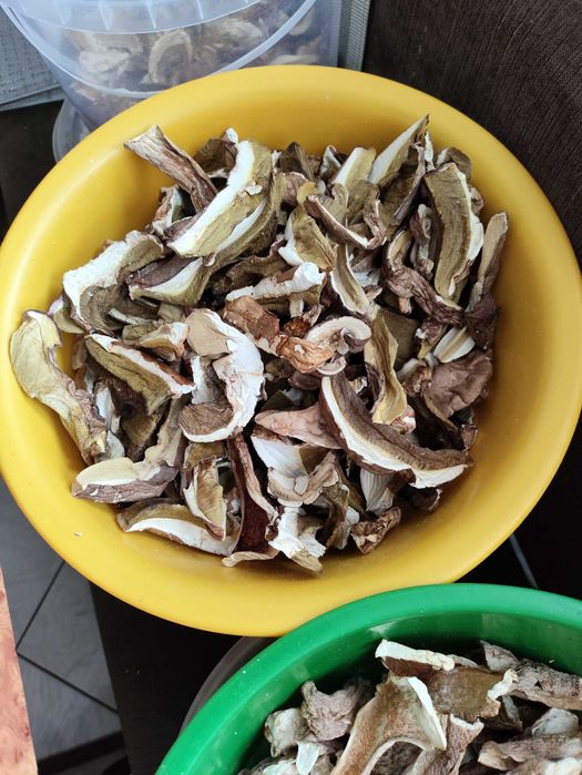 Grzyby suszone ,same prawdziwki