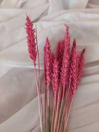Пшениця сухоцвіт декор фотозона