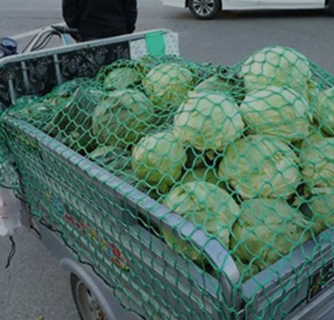 Ciężarówka polipropylenowe sieć ładunkowa ochrona