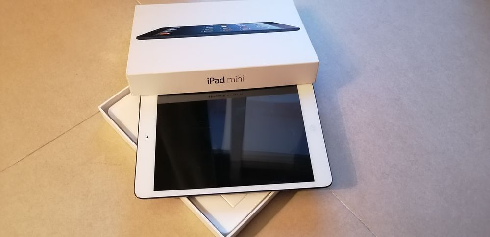 Ipadmini preto usado