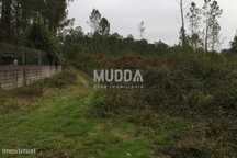 Venda Terreno
