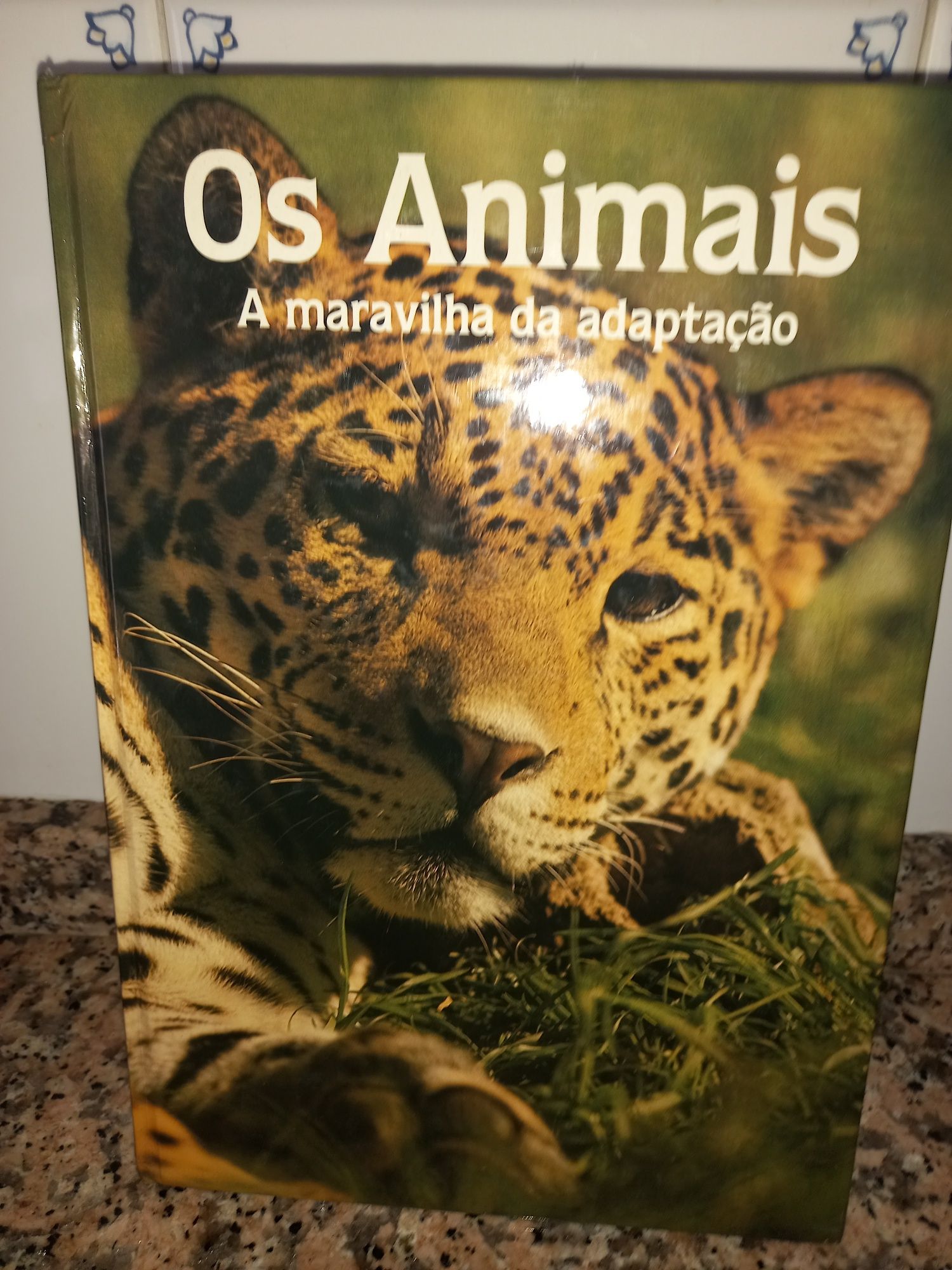 Livros diversos como novos