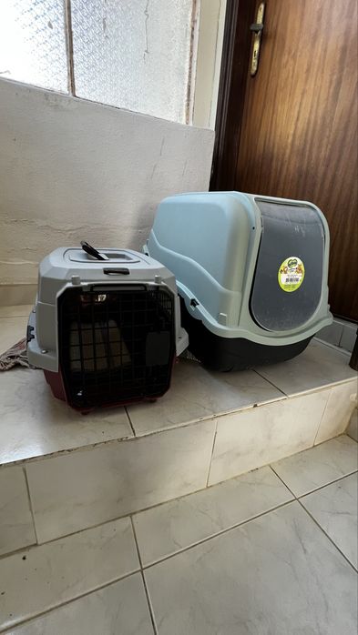 Caixa de areia e transporte