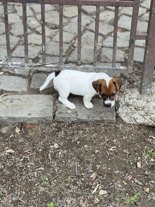 Гарнюсенька дівчинка чекає на батьків