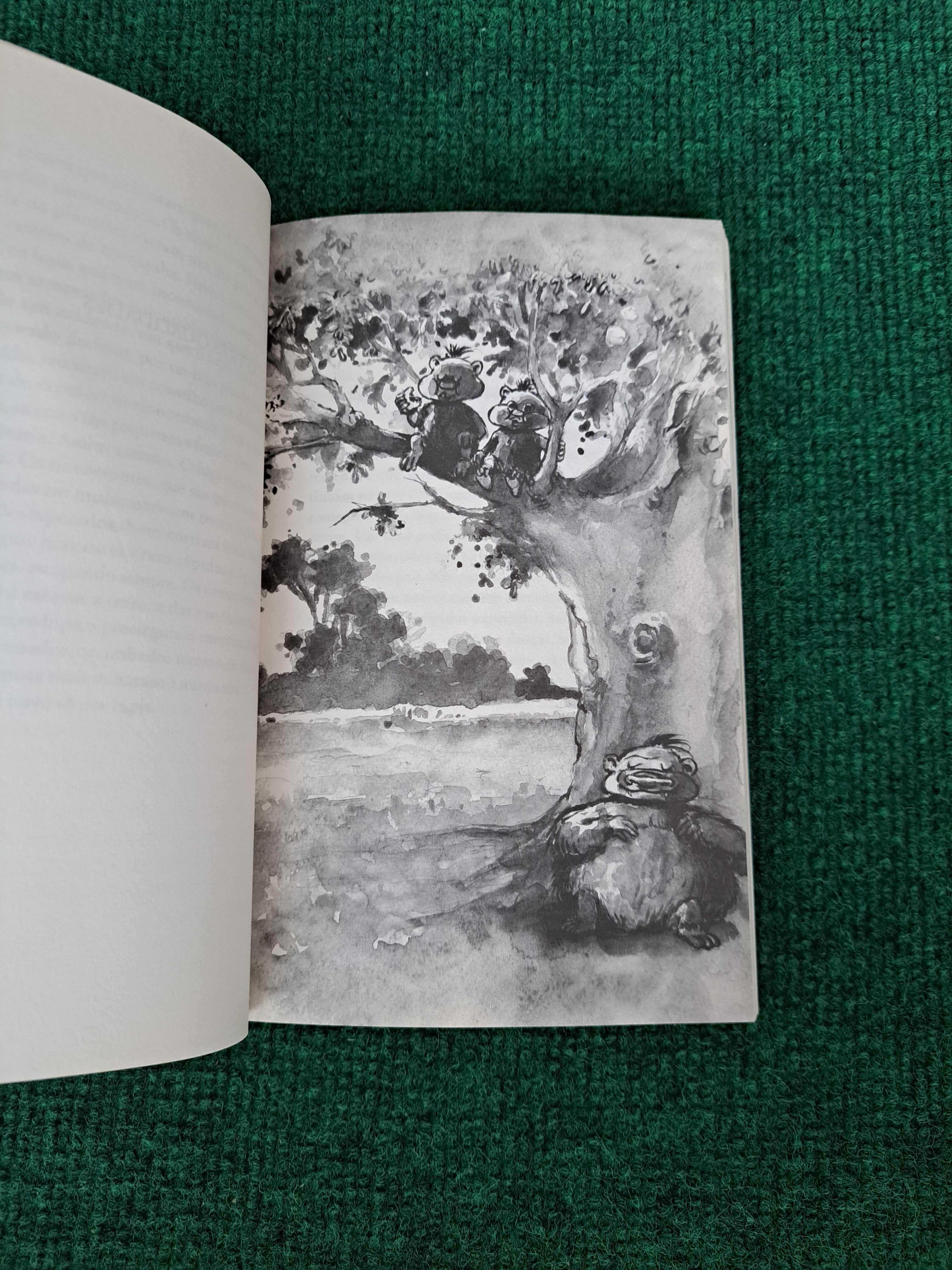 A Montanha da Água Lilás - 1.° Edição - Pepetela