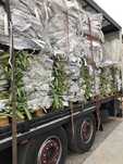 Worki Big Bag Bagi 90/96/145 BIGBAG