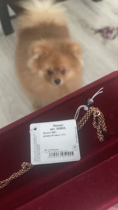 Цепочка с крестиком золото 585 проба