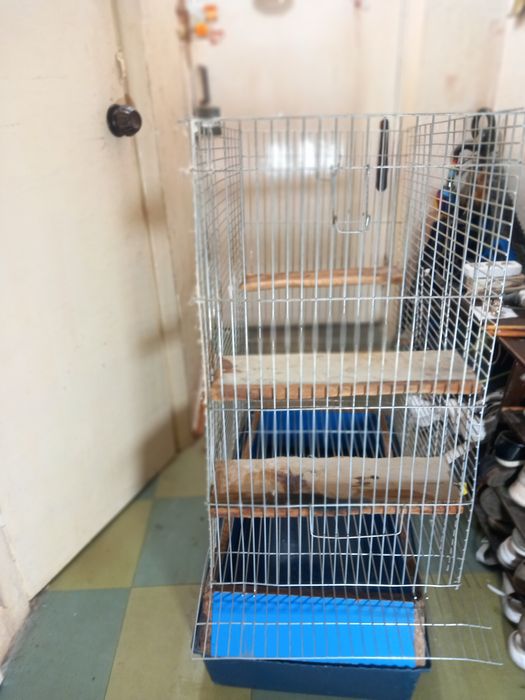 Продам клетку для белки Дегу,шиншил ,и других животных,.большой  разме