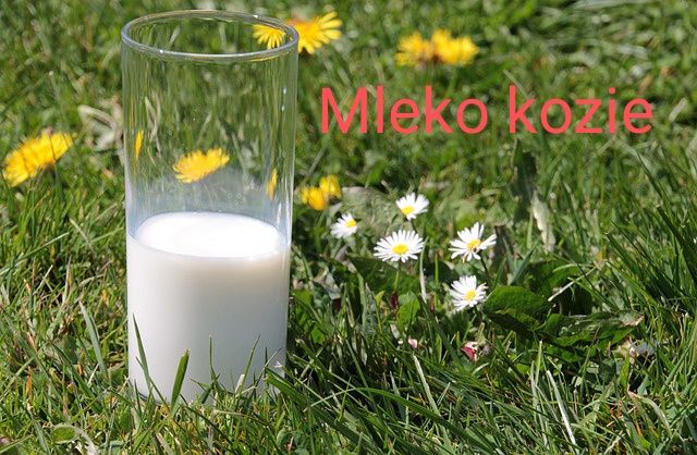 Mleko kozie świeże