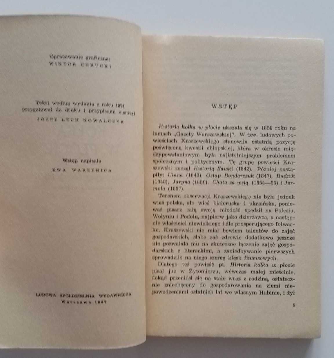 Józef Ignacy Kraszewski Historia koła w płocie powieść historyczna