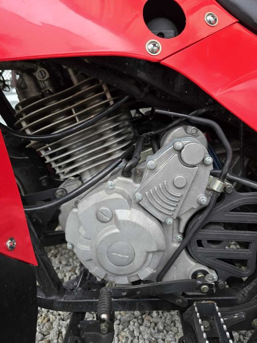 Quad Adly 300 Zarejestrowany