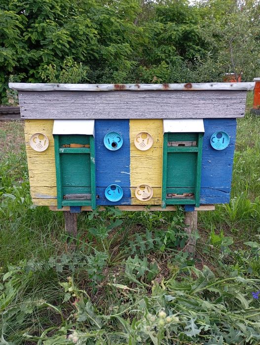 Продам вулики лежаки