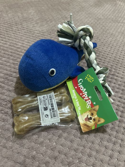 Brinquedos para Cães