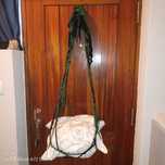 Cama suspensa em macramé para. Gatos exclusiva