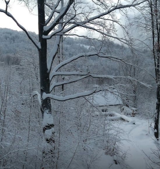 Продам готельний комплекс в мальовничому Закарпатті