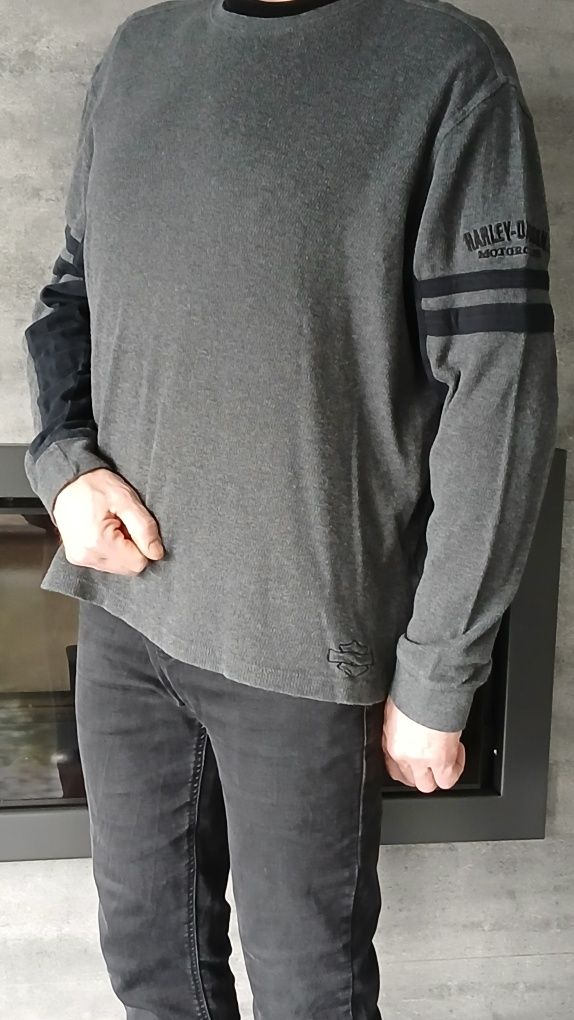 Bluza Harley Davidson męska