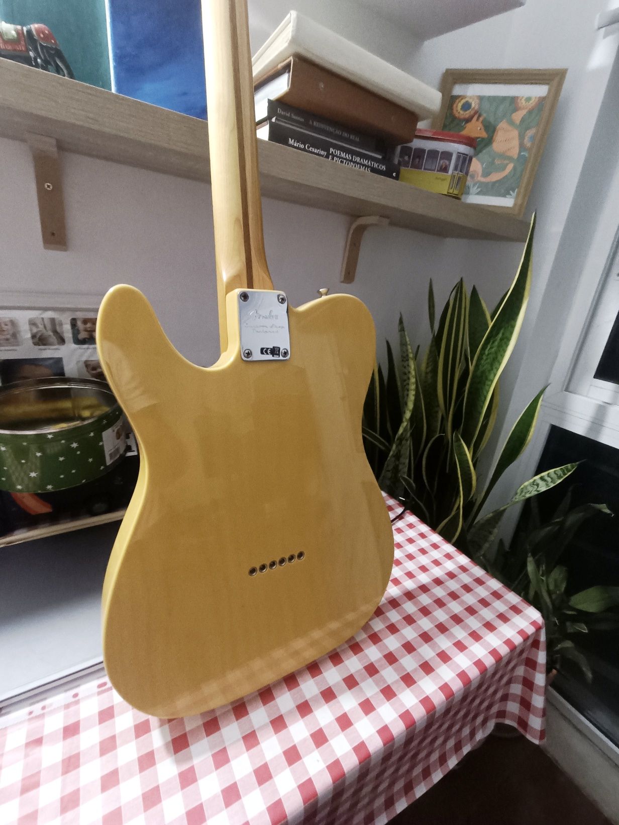 Fender Telecaster Baja 50s