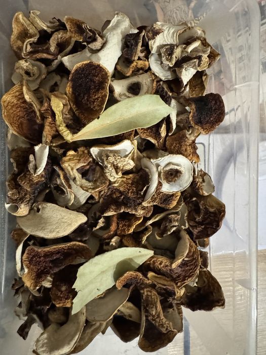 Borowiki, prawdziwki 1 klasa biale kapelusze