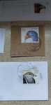 Selos Portugal pack aves