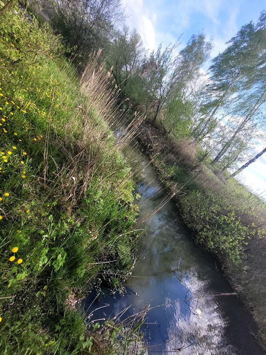 Дом , будинок на Дніпрі, хата в Чепаевке, дача,  ділянкана березі