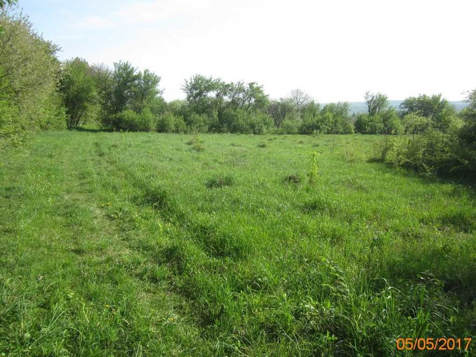 Продаж земельної ділянки 25 сот. Хмельницька обл., с.Стуфчинці  10500$