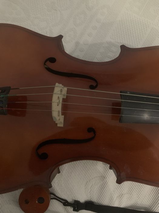 violoncelo estudante