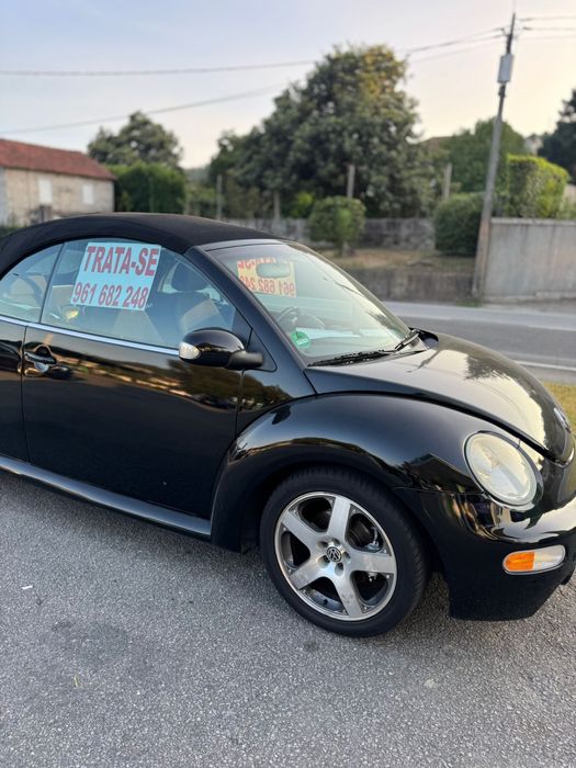 Beetle carro top