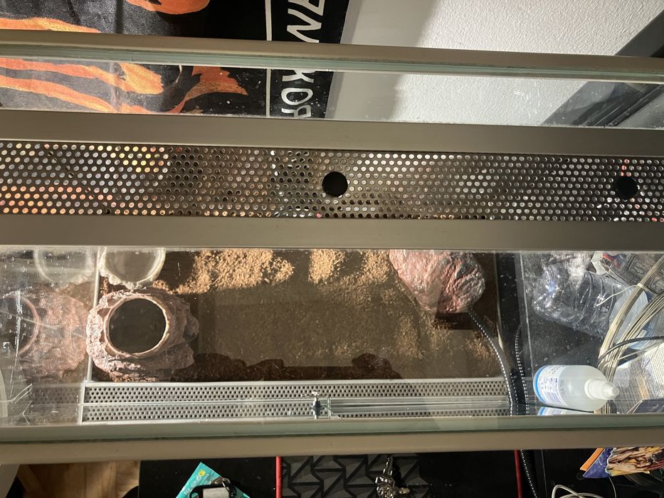 Terrario guecko tudo incluido