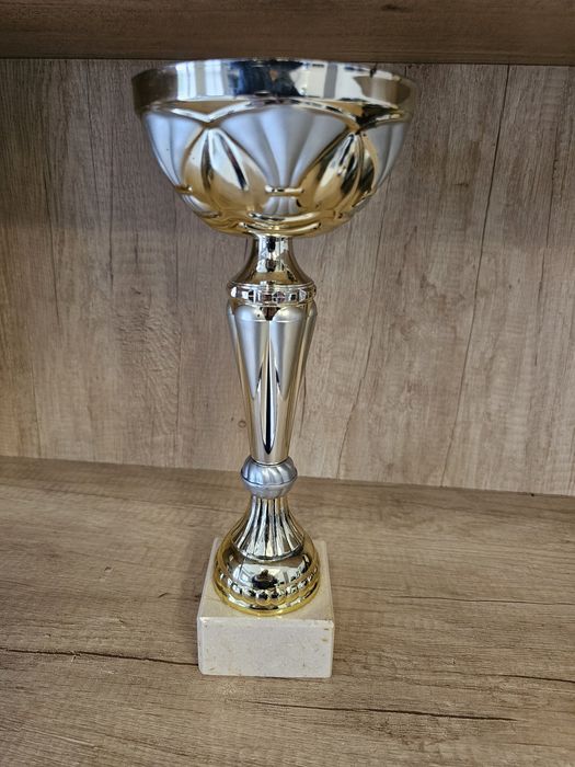 Trofeus de plástico genéricos base de pedra