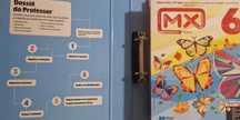 MX 6 Recursos do Manual/Livro do Professor