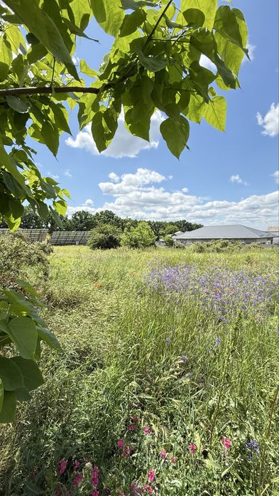 Продаж земельної ділянки Підгайці