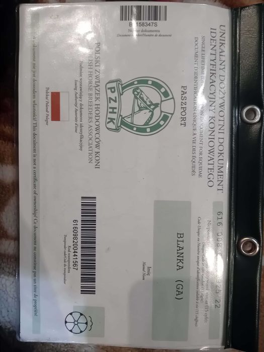 Sprzedam Klacz  Śląska -4letnia