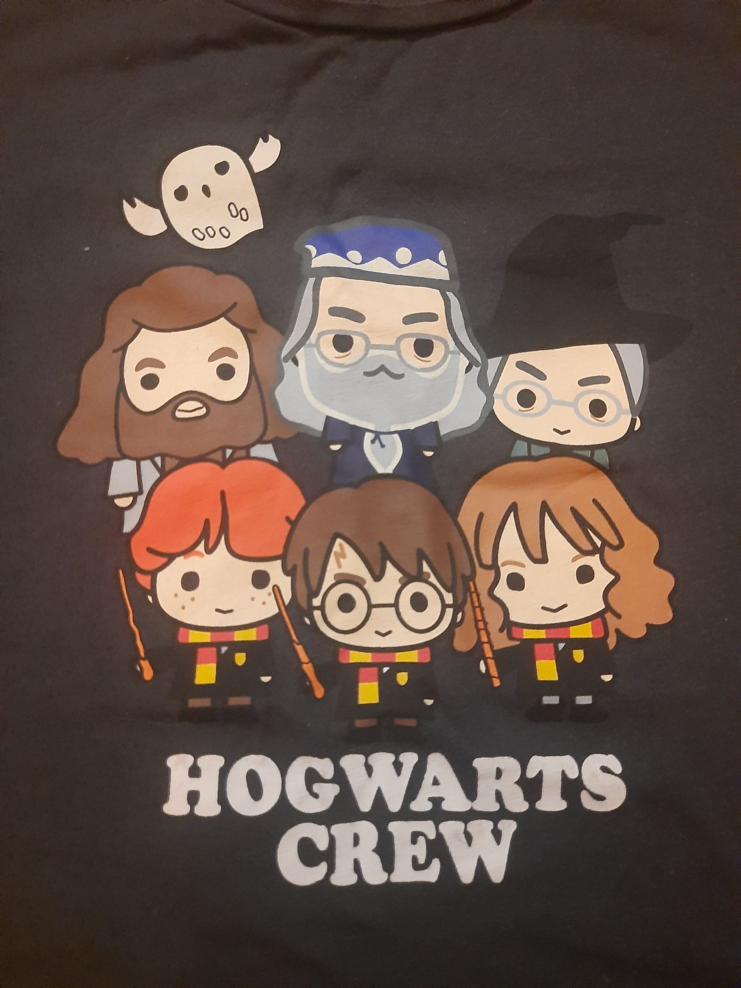 Tshirt Harry Potter i spodnie dresowe 100 % bawelna 134