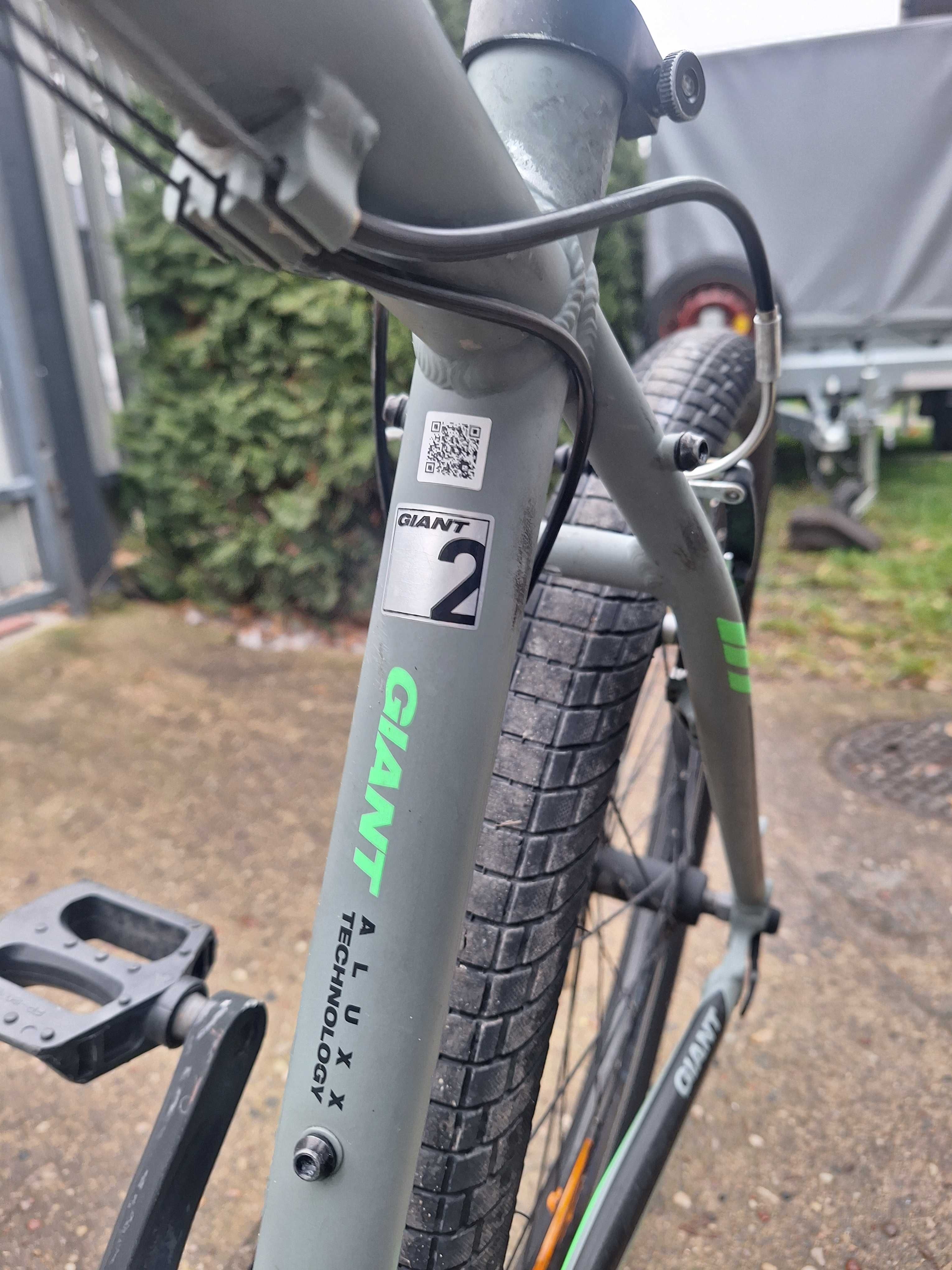 Rower Giant model Revel 2