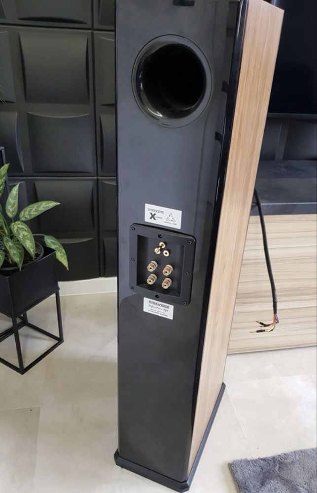 Kolumny Dynavoice DF-6 dab + czarny polysk