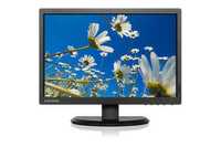 Monitor Lenovo Thinkvision E2054A