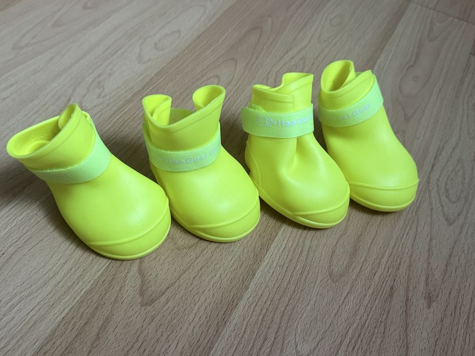 Обувь для собак